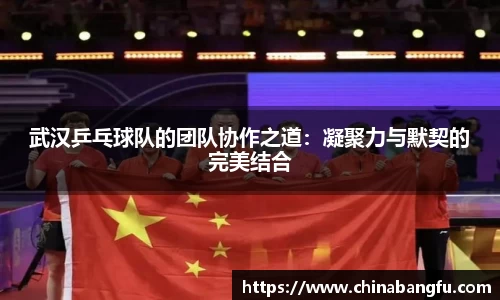 天博·综合体育官网入口