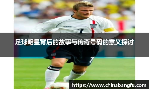 天博·综合体育官网入口